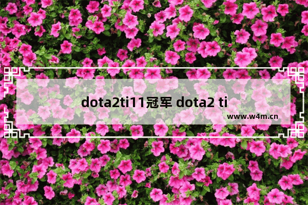 dota2ti11冠军 dota2 ti11 总决赛冠军