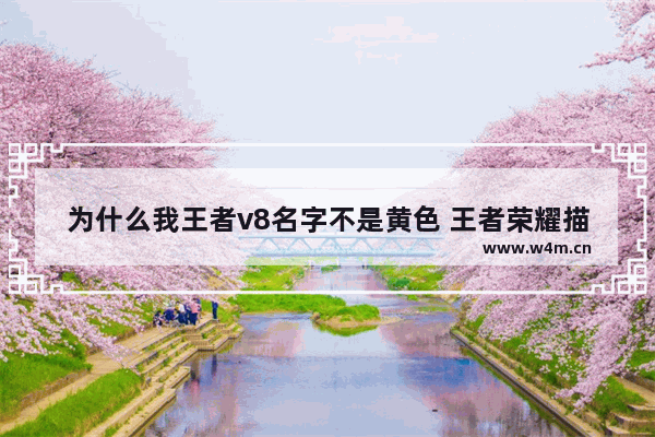 为什么我王者v8名字不是黄色 王者荣耀描述颜色