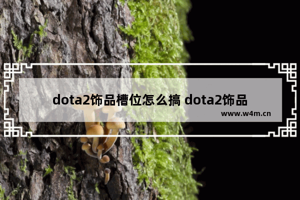 dota2饰品槽位怎么搞 dota2饰品 等级