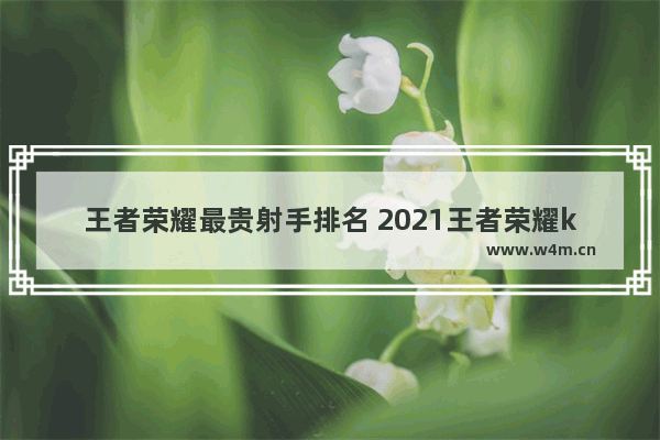 王者荣耀最贵射手排名 2021王者荣耀kpl射手排行榜