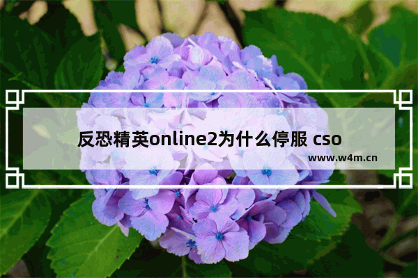 反恐精英online2为什么停服 csol与逆战