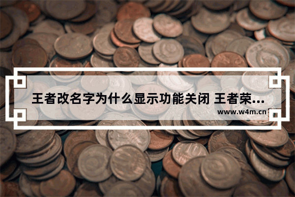 王者改名字为什么显示功能关闭 王者荣耀改名功能暂未开放