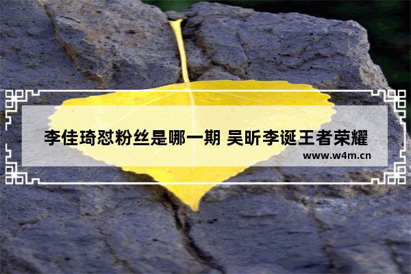 李佳琦怼粉丝是哪一期 吴昕李诞王者荣耀