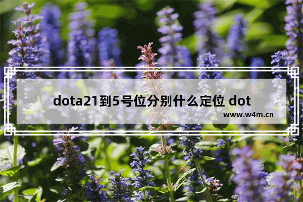 dota21到5号位分别什么定位 dota2沙王打野