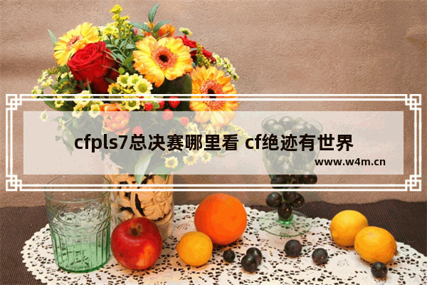 cfpls7总决赛哪里看 cf绝迹有世界冠军吗