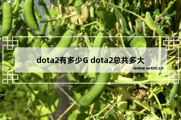 dota2有多少G dota2总共多大