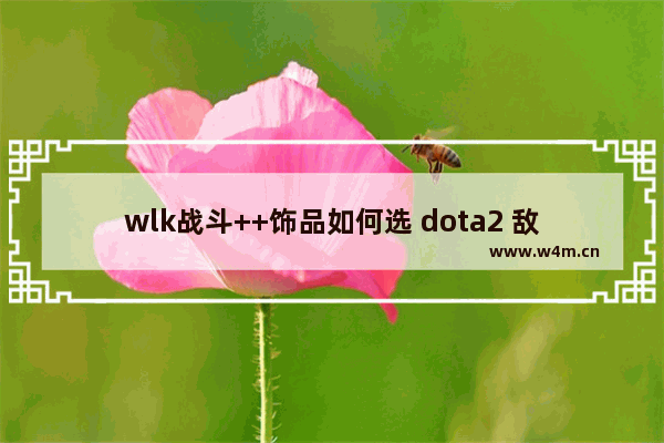 wlk战斗++饰品如何选 dota2 敌法师 饰品