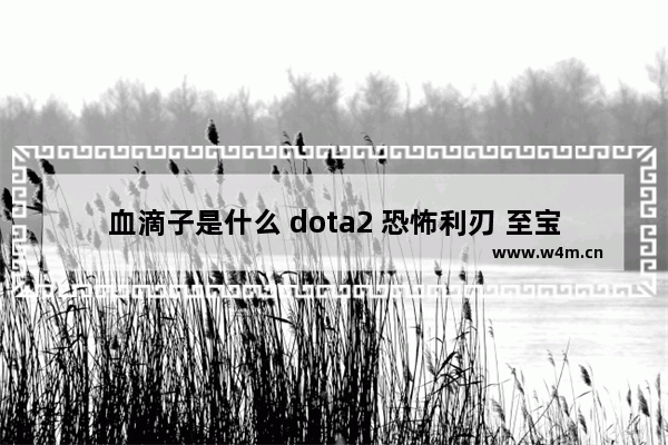 血滴子是什么 dota2 恐怖利刃 至宝