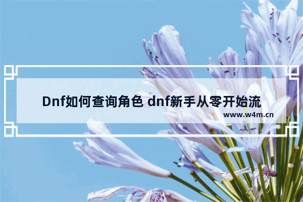 Dnf如何查询角色 dnf新手从零开始流程