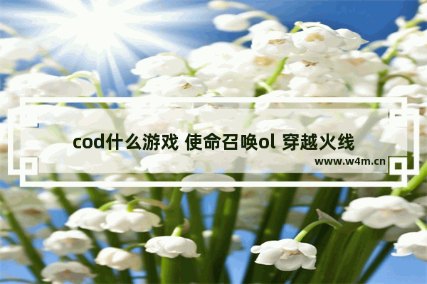 cod什么游戏 使命召唤ol 穿越火线