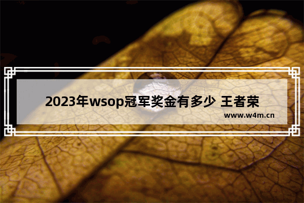 2023年wsop冠军奖金有多少 王者荣耀冠军奖励