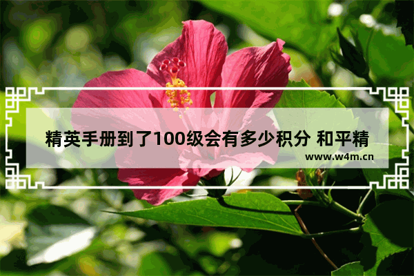 精英手册到了100级会有多少积分 和平精英特种兵手册