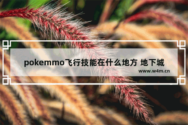 pokemmo飞行技能在什么地方 地下城与勇士飞行技能在哪