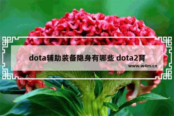 dota辅助装备隐身有哪些 dota2育母蜘蛛不能隐身