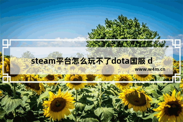 steam平台怎么玩不了dota国服 dota2玩欧服