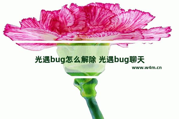 光遇bug怎么解除 光遇bug聊天