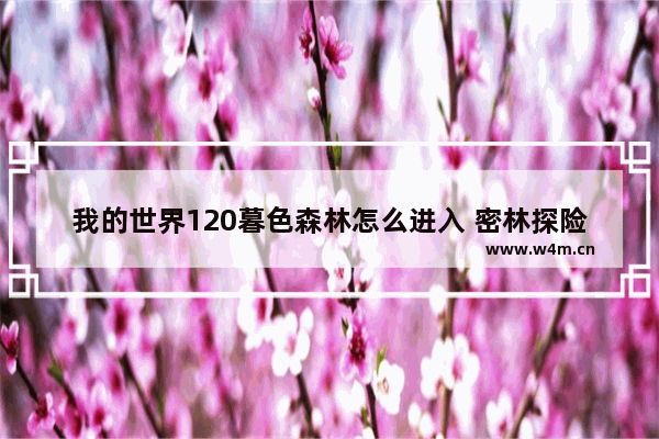 我的世界120暮色森林怎么进入 密林探险光遇