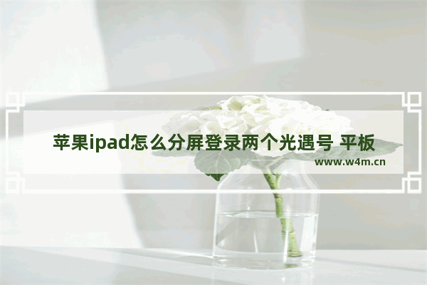 苹果ipad怎么分屏登录两个光遇号 平板光遇++