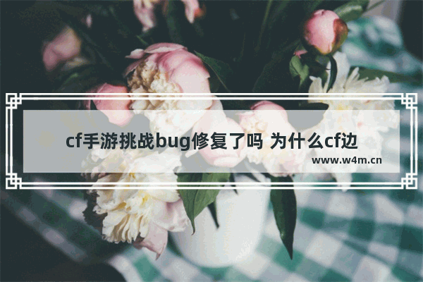 cf手游挑战bug修复了吗 为什么cf边边角角都能卡bug