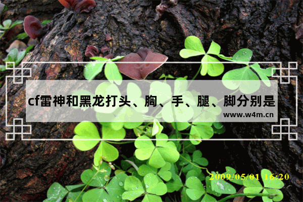 cf雷神和黑龙打头、胸、手、腿、脚分别是多少血 要分有ac和无ac 要详细一定 穿越火线雷神和黑龙