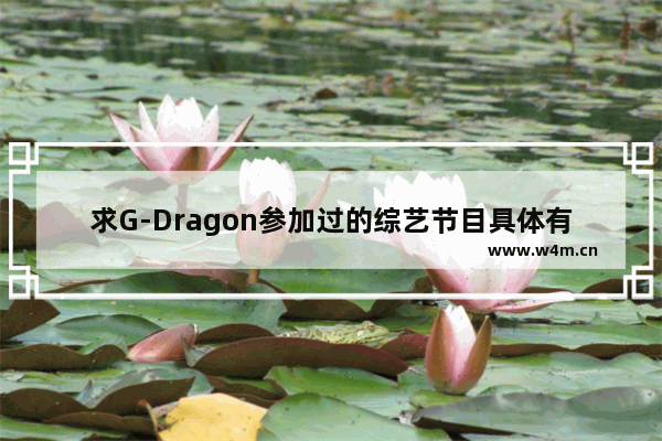 求G-Dragon参加过的综艺节目具体有哪些 2013 dota2 g联赛