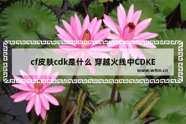 cf皮肤cdk是什么 穿越火线中CDKEY是什么意思