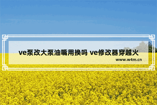 ve泵改大泵油嘴用换吗 ve修改器穿越火线