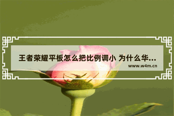 王者荣耀平板怎么把比例调小 为什么华为平板更新不了王者荣耀