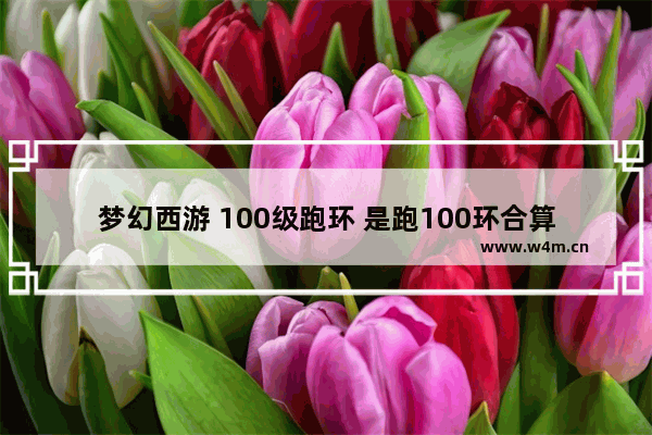 梦幻西游 100级跑环 是跑100环合算 还是300环合算 如果得书 什么书能卖的钱多 梦幻西游灵石技巧100（满）最高可以合多少级精魄灵石（百分之百成功）有知道的麻烦说具体的谢谢