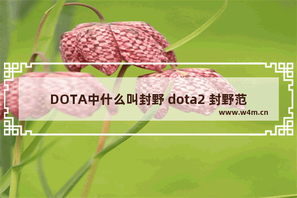 DOTA中什么叫封野 dota2 封野范围