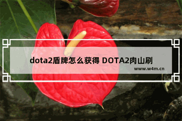 dota2盾牌怎么获得 DOTA2肉山刷新时间