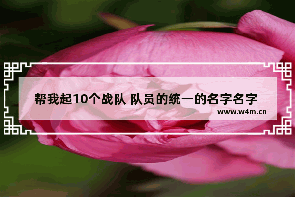 帮我起10个战队 队员的统一的名字名字 地下城与勇士职业战队名字