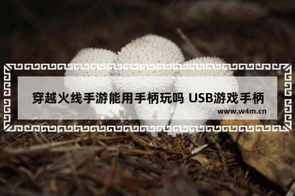 穿越火线手游能用手柄玩吗 USB游戏手柄能玩CF吗