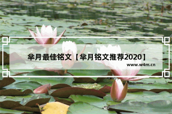 芈月最佳铭文【芈月铭文推荐2020】