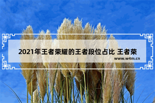 2021年王者荣耀的王者段位占比 王者荣耀段位哪个最多