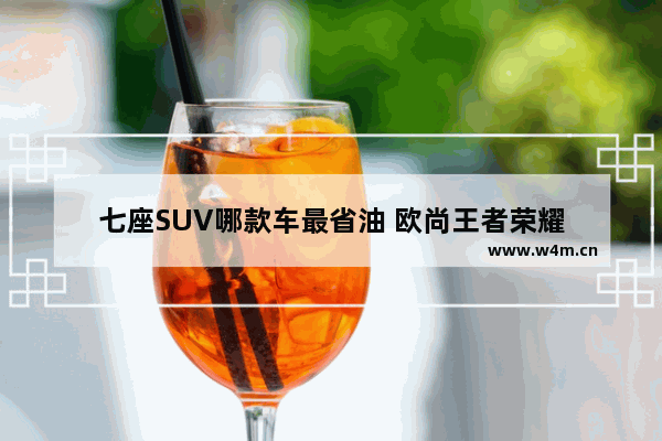 七座SUV哪款车最省油 欧尚王者荣耀