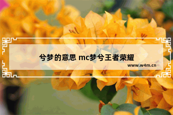 兮梦的意思 mc梦兮王者荣耀