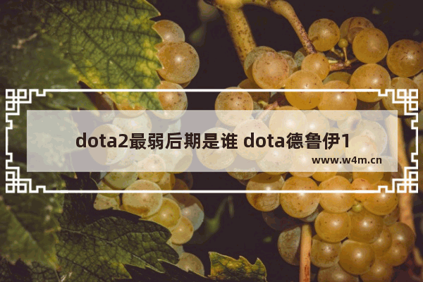 dota2最弱后期是谁 dota德鲁伊12格神装是什么