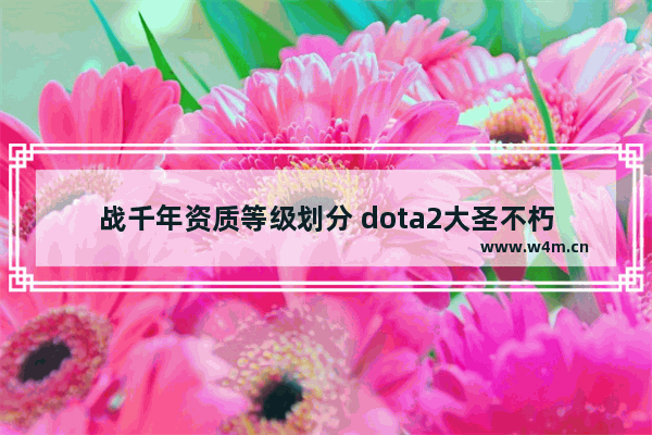 战千年资质等级划分 dota2大圣不朽