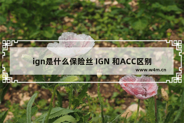 ign是什么保险丝 IGN 和ACC区别