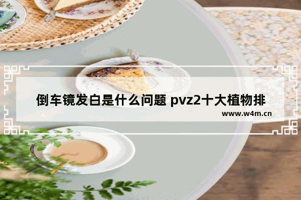 倒车镜发白是什么问题 pvz2十大植物排行榜