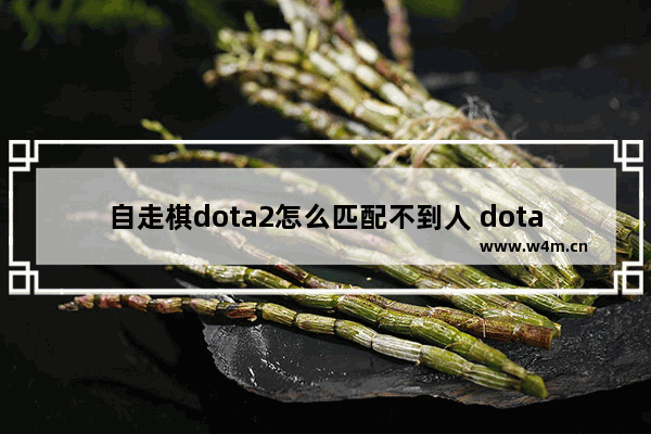 自走棋dota2怎么匹配不到人 dota2行为分太低匹配不到怎么办