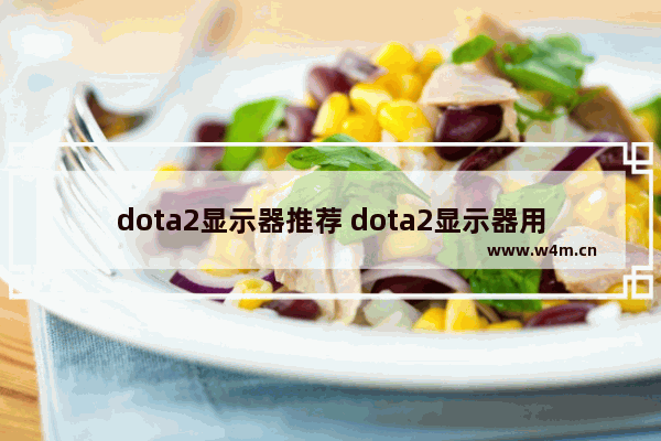 dota2显示器推荐 dota2显示器用多少赫兹