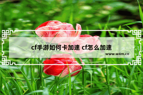 cf手游如何卡加速 cf怎么加速