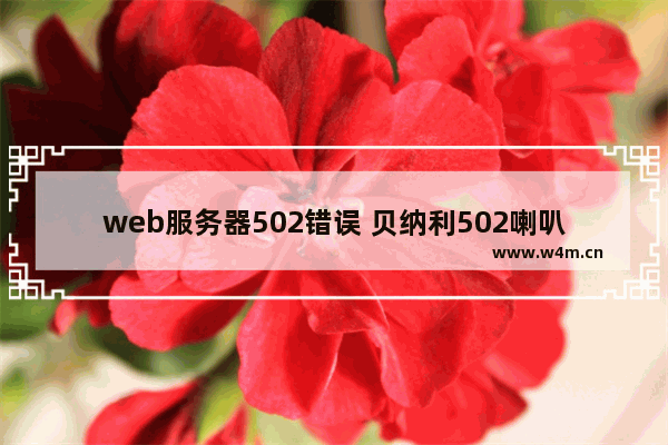 web服务器502错误 贝纳利502喇叭线在什么位置