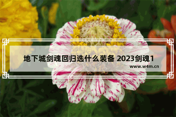 地下城剑魂回归选什么装备 2023剑魂110级装备搭配