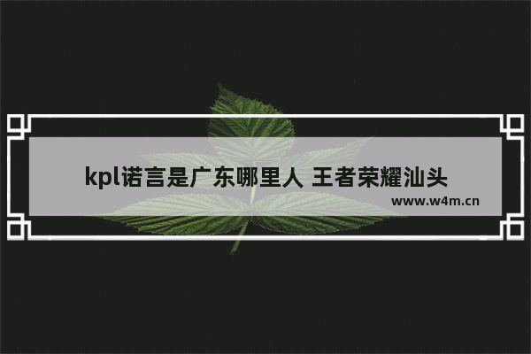 kpl诺言是广东哪里人 王者荣耀汕头