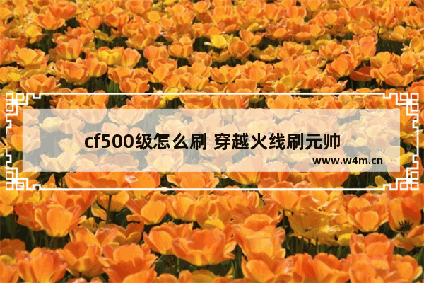 cf500级怎么刷 穿越火线刷元帅