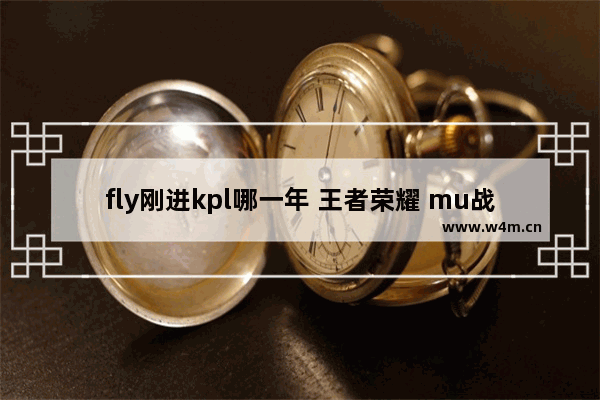 fly刚进kpl哪一年 王者荣耀 mu战队