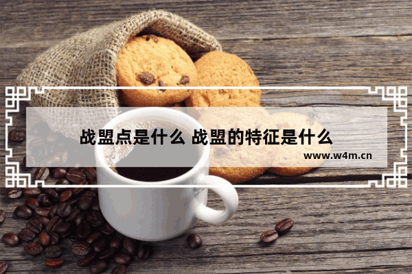 战盟点是什么 战盟的特征是什么